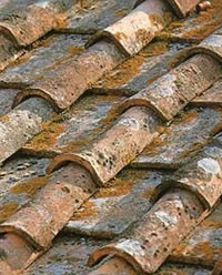 Reclaimed roof and antique tiles